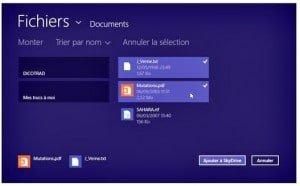 Cliquez sur les fichiers à envoyer vers Skydrive