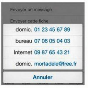 Choisissez, parmi les nombreux numéros de téléphone de ce contact, celui qui doit être placé dans les favoris