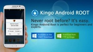 Root with Kingo