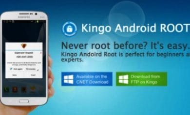 Root with Kingo Une