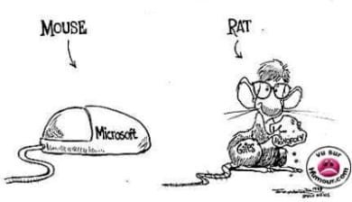 Terminologie informatique-image à la une