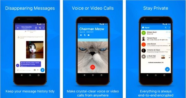 signal private messenger video calling